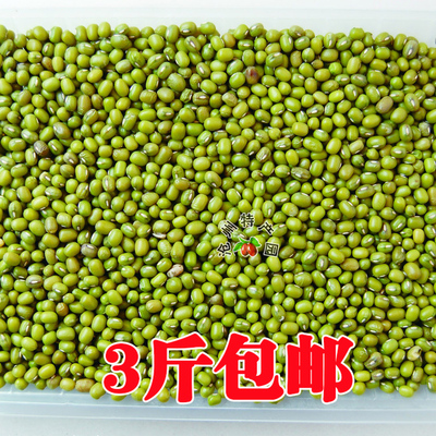 农家产 特价优质绿豆 夏季必备 清热解毒 绿豆汤E3S3YCPK