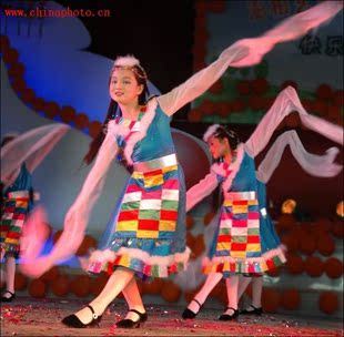 特价民族舞台演出服/少数民族舞蹈服/藏族长袖舞蹈服装 儿童藏服