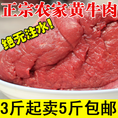 山东农家新鲜牛肉正宗放养鲁西黄牛肉生牛肉 500克/1斤