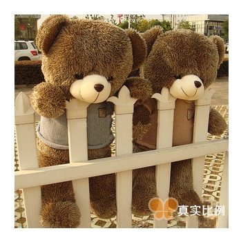 正品泰迪熊穿衣狗狗熊大号公仔毛绒玩具娃娃抱抱熊可爱刺猬熊