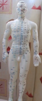 华佗牌针灸人体模型60cm