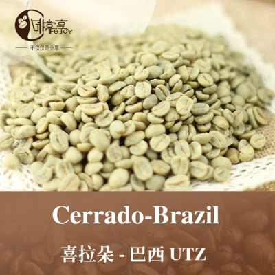 啡常享咖啡生豆特价 巴西特浓咖啡生豆商用 精品咖啡生豆 500g