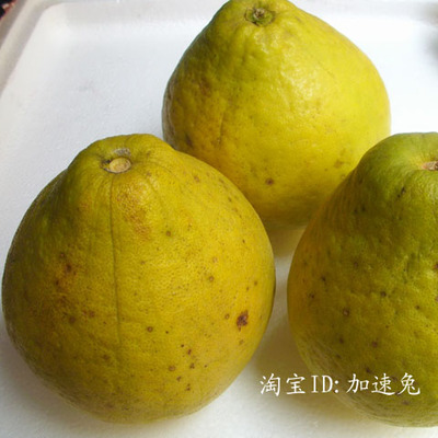 广西沙田柚 容县沙田柚 新鲜水果柚子 5个（10-12斤）