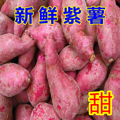 现挖富硒紫番薯/紫心红薯/富硒紫薯/地瓜/甘薯 新鲜蔬菜 紫山芋