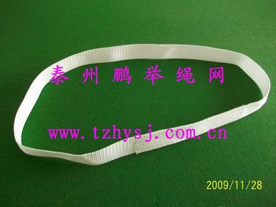 鹏举绳网—白色环形钢管专用扁平吊带/柔性吊带2T*1M