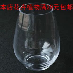 恐龙蛋 水培植物吊兰花卉 专用透明玻璃花瓶 器皿 简约