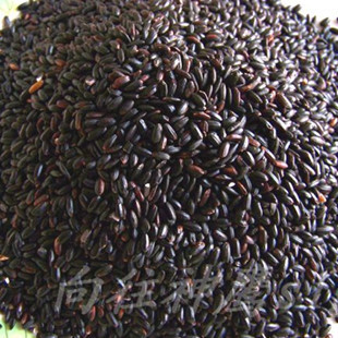 农家五谷 特级优质黑米 杂粮精品  粗粮黑大米 补血养生500g
