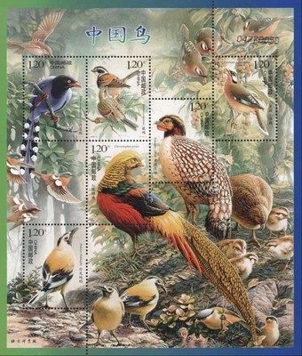 2008-4 M 中国鸟 邮票 小全张小型张 集邮收藏 保真