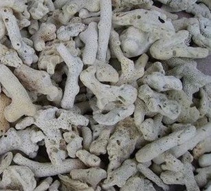 散装优质珊瑚砂 珊瑚石 珊瑚沙 珊瑚骨 过滤沙 有粗有细 1公斤