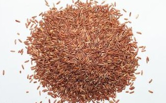 东北大米红曲米有机红米药用红米非发酵补血补气健脾消食
