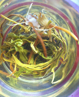 素履茶家&250克不好看但好喝自家木炭烤制内含野金银花的天然绿茶