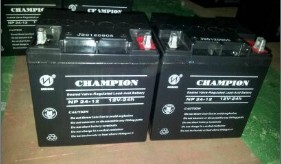 CHAMPION 12V38AH UPS电池 电池 免维护铅酸蓄电池 蓄电池
