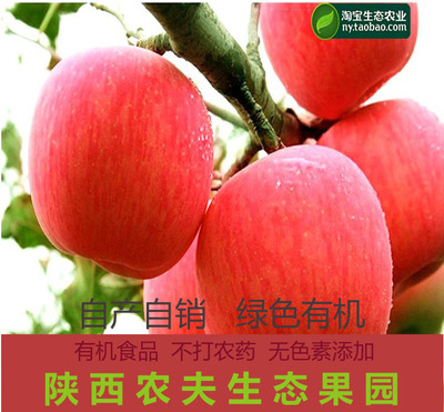 陕西红富士苹果水果85mm10斤包邮现货新鲜批发特价比山东烟台好吃