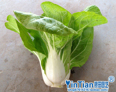蔬菜种子 阳台种植 矮脚白菜籽 小白菜种子5克 鸡毛菜 满28元包邮