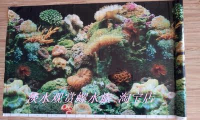 满百包邮 水族箱 9055珊瑚石 非加厚背景纸 背景画1份10厘米