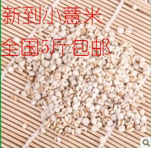 新鲜贵州小薏米500g 药用首选薏仁米食补 全国15省市5斤包邮