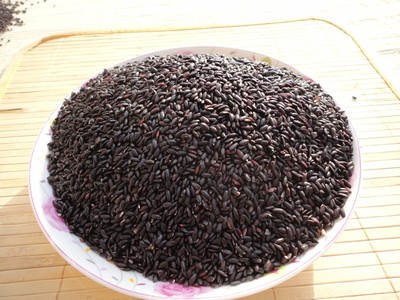 农家自产黑米 新货黑大米 粗粮 500g 煮粥黑米 满3件包邮