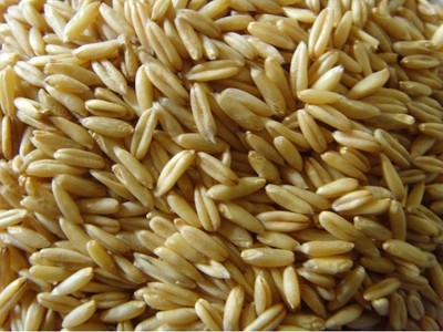 包邮2015新燕麦米山西特产燕麦仁燕麦米原生态粮食降血糖