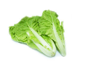 银田种业蔬菜种子 早熟大白菜 白菜种子5克 25天速生 满28元包邮