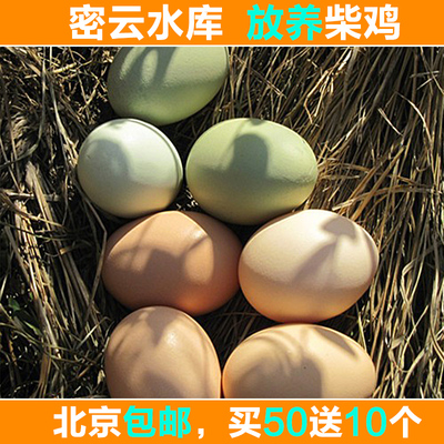 四年老店正宗土鸡蛋农家散养新鲜柴鸡蛋 宝宝辅食乌鸡蛋 20枚起售