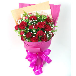 19朵红色康乃馨 大庆鲜花速递  送给长辈生日花束 母亲节鲜花预订