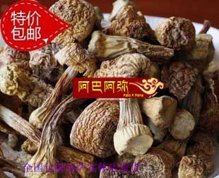西藏林芝野生特级松茸 干松茸菌 蘑菇松茸 干货 1斤包邮