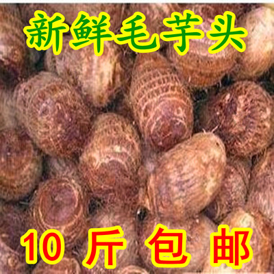 新鲜芋艿高山种植北方小毛芋头山东自种粉糯香滑24省市10斤包邮