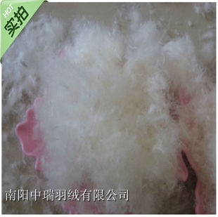 散装水洗羽绒 羽绒服 羽绒被填充物填充料90%中朵白鸭绒纯白