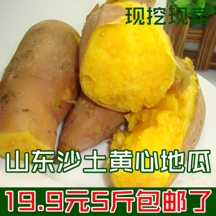 名特产新鲜蕃薯农家自种黄地瓜瓜新鲜蔬菜香番薯山芋5斤面包正宗