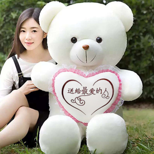 毛绒玩具熊泰迪熊布娃娃抱抱熊公仔熊猫生日礼物送女大熊玩偶抱枕