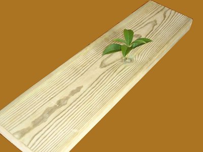 赣州防腐木实木户外地板木材护墙板桑拿板吊顶板樟子松葡萄架凉亭
