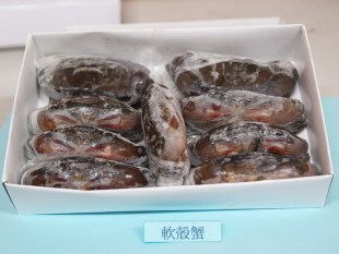 2盒起包邮 越南缅甸进口野生鲜活生冻软壳蟹 料理食材天妇罗 海鲜