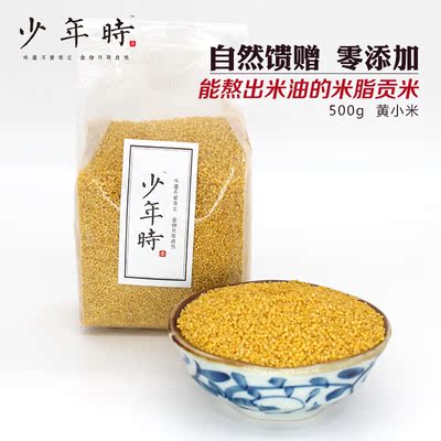 【少年时】农家黄小米500g杂粮小米粥贡米小香米小黄米小米粗粮