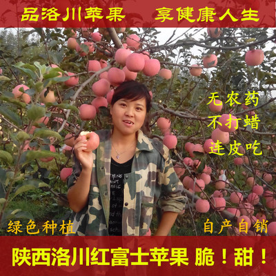 陕西洛川红富士苹果水果新鲜甜脆10斤批发特价包邮比山东烟台好吃