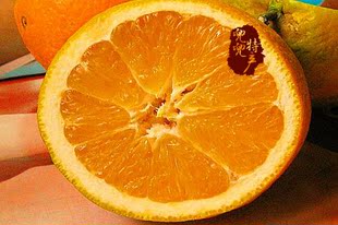 四川攀枝花纽荷尔脐橙 橙子新鲜水果甜橙香甜多汁18斤28省包邮