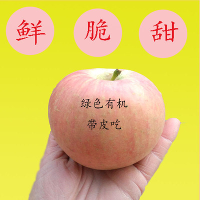 山东红富士 新鲜丑苹果新鲜水果5斤装非烟台陕西阿里苏