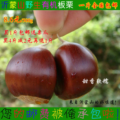 2015新鲜板栗 沂蒙山特产农家有机生板栗毛栗油栗1斤包邮零食坚果