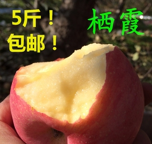山东烟台苹果水果新鲜栖霞红富士80一级果有机特产批发包邮