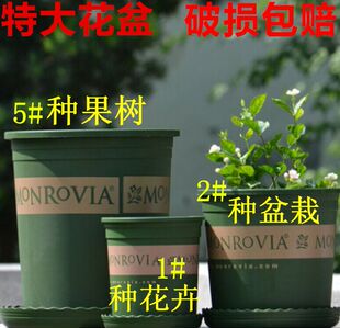 特大号塑料花盆 5加仑果树苗木种植盆 2加仑盆 种绿植花卉盆 送托