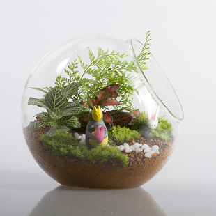悦木之源苔藓微景观植物生态瓶创意玻璃瓶办公室桌面迷你盆栽DIY