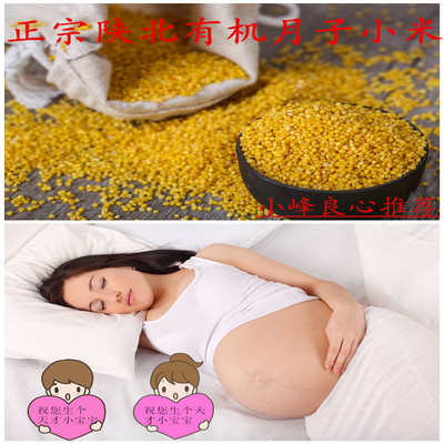 15年新有机小米黄小米陕北小米延安农家自产孕妇儿童专用月子米