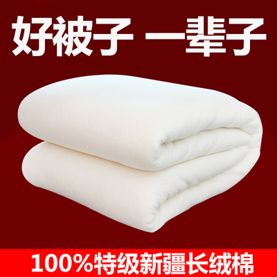 垫被棉花棉絮垫絮床褥子双人１.８米被褥床垫被加厚棉花褥子单人