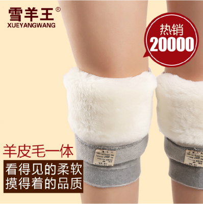雪羊王秋冬季保暖加厚运动护膝 中老年男女老寒腿跑步护膝护具