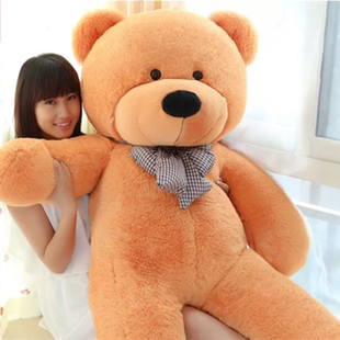 布娃娃可爱超大号毛绒玩具泰迪熊 抱抱熊大熊1.6米熊猫公仔熊抱枕