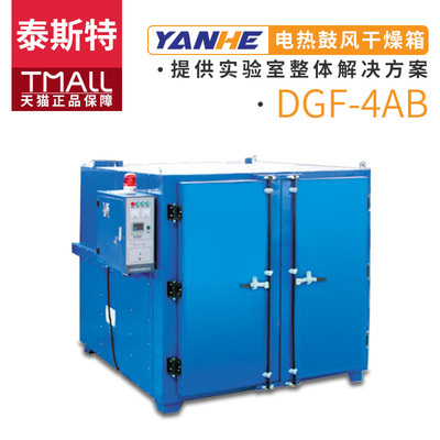 天津泰斯特DGF-4AB卧式工业电热鼓风干燥箱大容量烘烤机烘箱1000L