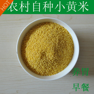 新米小黄米 粗粮宝宝农家特产250g老人有机满额包邮自产小米粥