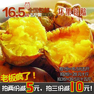 【5斤包邮】新鲜黄地瓜生红薯 沂蒙山农家自种番薯 生香薯 山芋