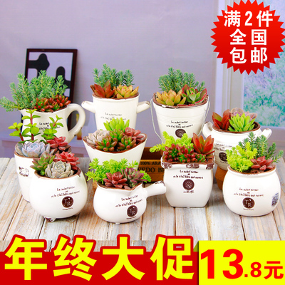 【新搪瓷系列】多肉植物组合盆栽 桌面绿植花卉 礼品 含花盆