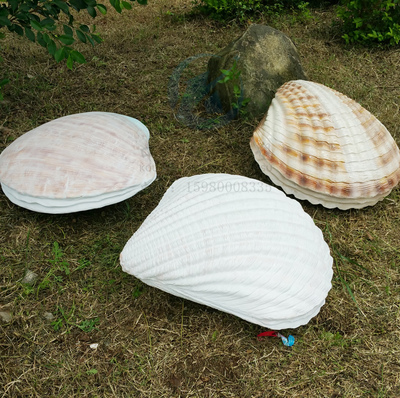 玻璃钢仿真海产大贝壳雕塑工艺品小区公园别墅园林景观装饰品摆件