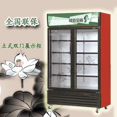 608升冷柜冷藏柜 保鲜柜 立式冷饮饮料展示柜 商用单门立式展示柜